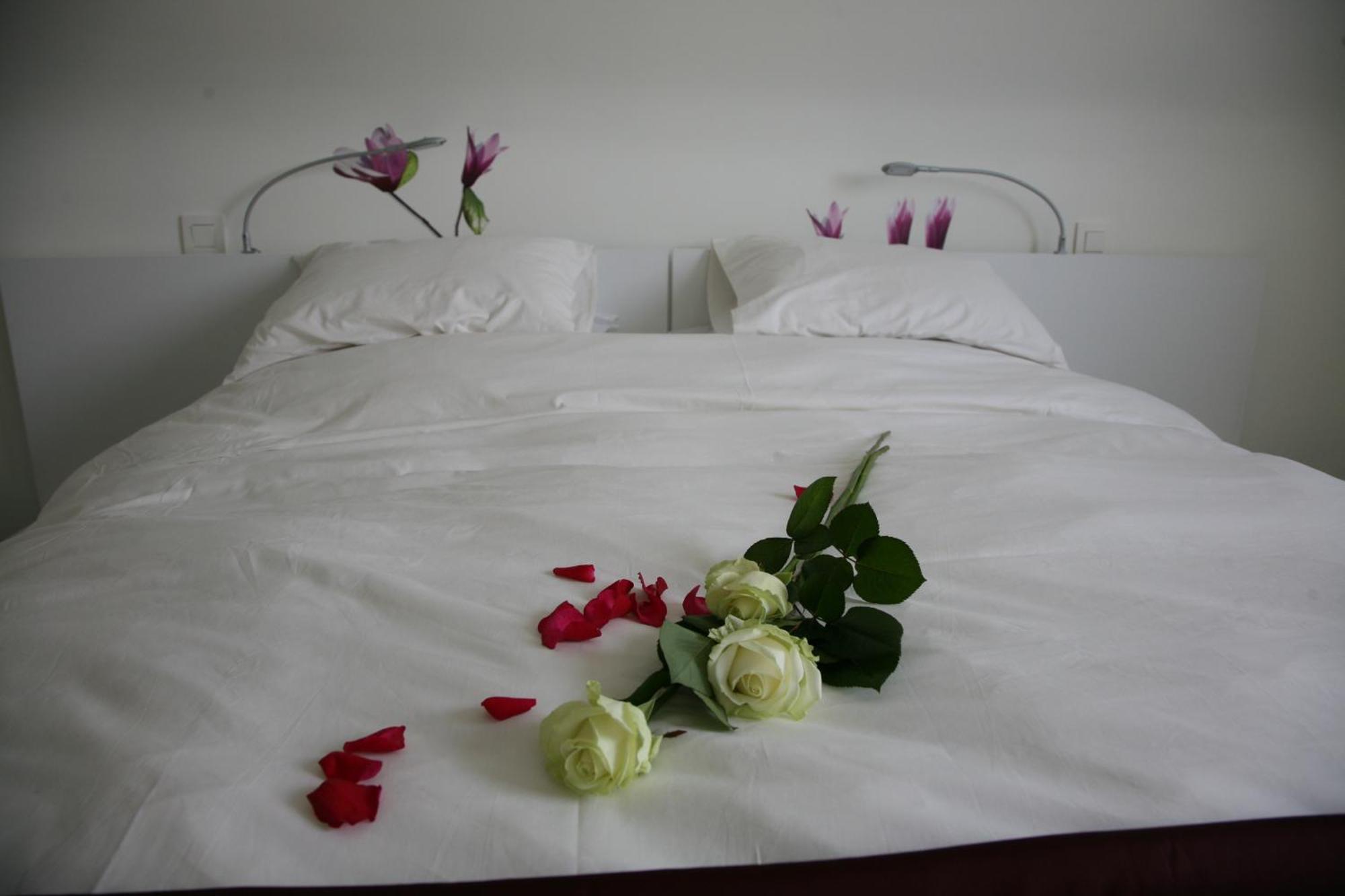 B&B Kanegem Onverbloemd Tielt Exterior photo